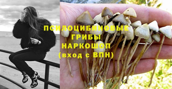 ALPHA-PVP Бородино
