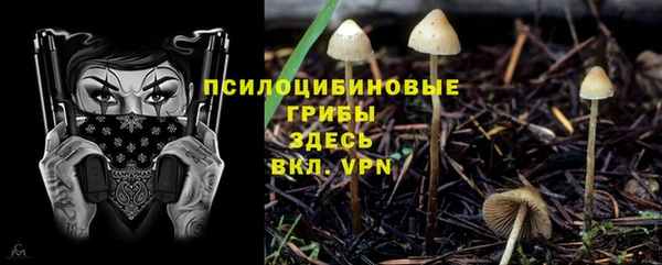ALPHA-PVP Бугульма