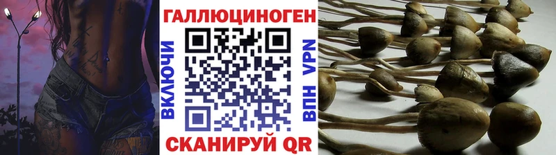 Галлюциногенные грибы прущие грибы  маркетплейс какой сайт  Киржач  ссылка на мегу вход 
